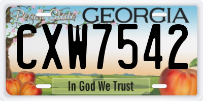 GA license plate CXW7542