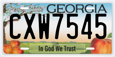 GA license plate CXW7545