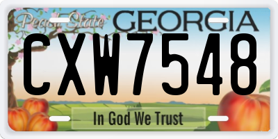 GA license plate CXW7548