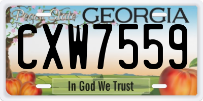 GA license plate CXW7559