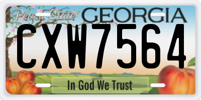 GA license plate CXW7564