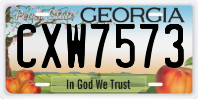 GA license plate CXW7573