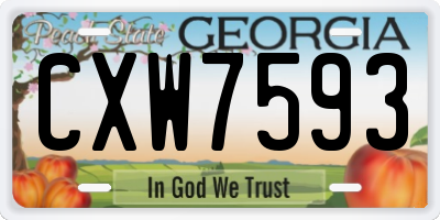 GA license plate CXW7593