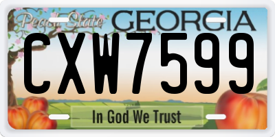 GA license plate CXW7599