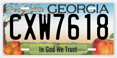 GA license plate CXW7618