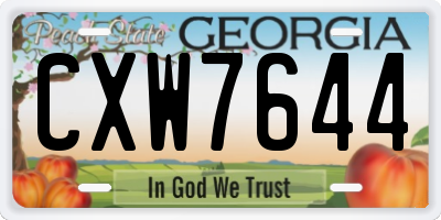 GA license plate CXW7644