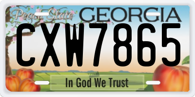 GA license plate CXW7865