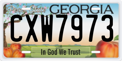 GA license plate CXW7973
