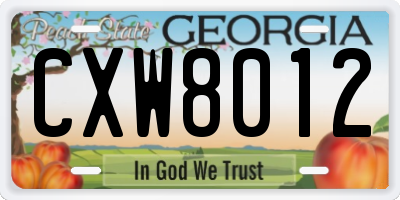GA license plate CXW8012