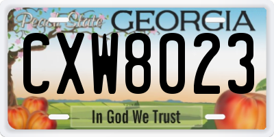 GA license plate CXW8023
