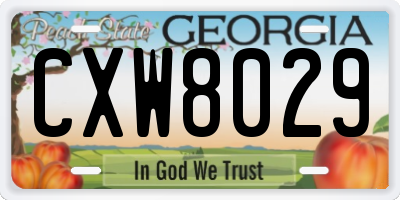 GA license plate CXW8029