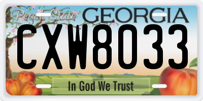 GA license plate CXW8033
