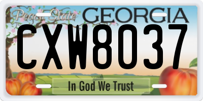 GA license plate CXW8037
