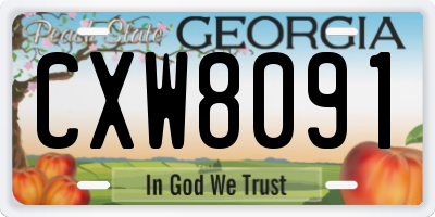 GA license plate CXW8091