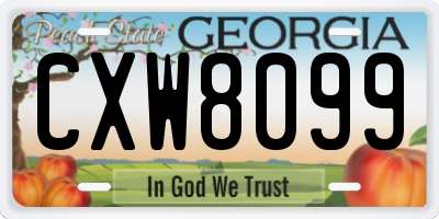 GA license plate CXW8099