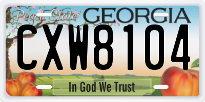GA license plate CXW8104