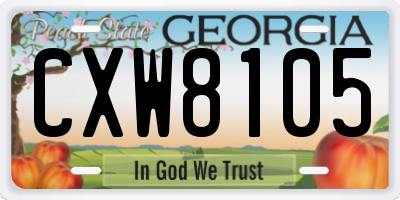 GA license plate CXW8105