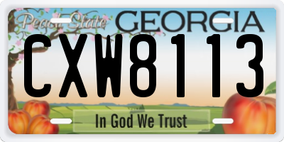 GA license plate CXW8113