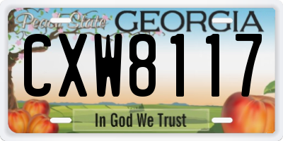 GA license plate CXW8117