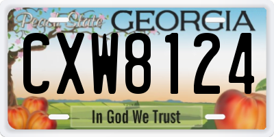 GA license plate CXW8124
