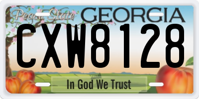 GA license plate CXW8128
