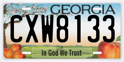 GA license plate CXW8133