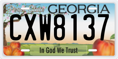 GA license plate CXW8137