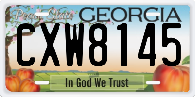 GA license plate CXW8145