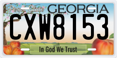 GA license plate CXW8153