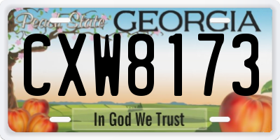 GA license plate CXW8173