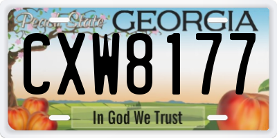 GA license plate CXW8177