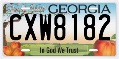 GA license plate CXW8182