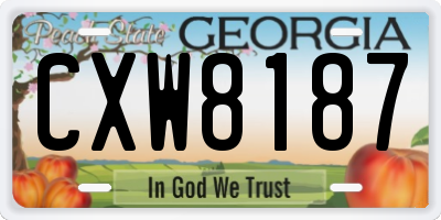 GA license plate CXW8187
