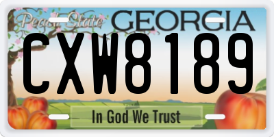 GA license plate CXW8189