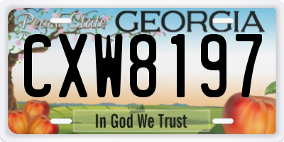 GA license plate CXW8197