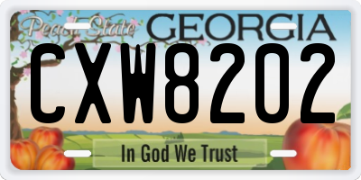 GA license plate CXW8202