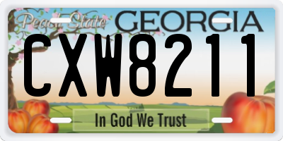GA license plate CXW8211