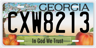 GA license plate CXW8213