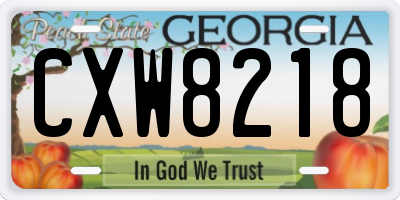 GA license plate CXW8218