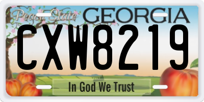 GA license plate CXW8219