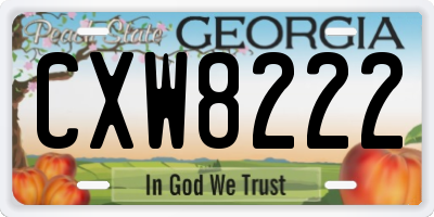 GA license plate CXW8222