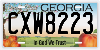GA license plate CXW8223