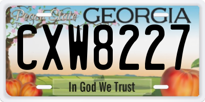 GA license plate CXW8227