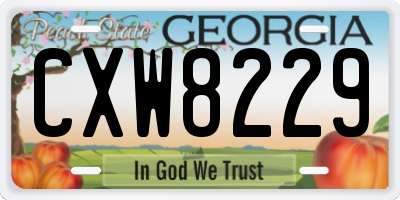 GA license plate CXW8229