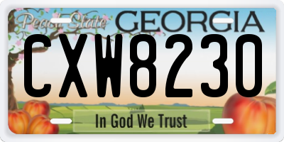 GA license plate CXW8230