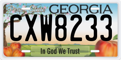 GA license plate CXW8233