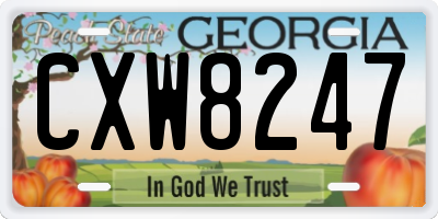 GA license plate CXW8247