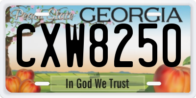 GA license plate CXW8250