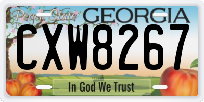 GA license plate CXW8267