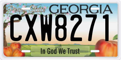 GA license plate CXW8271